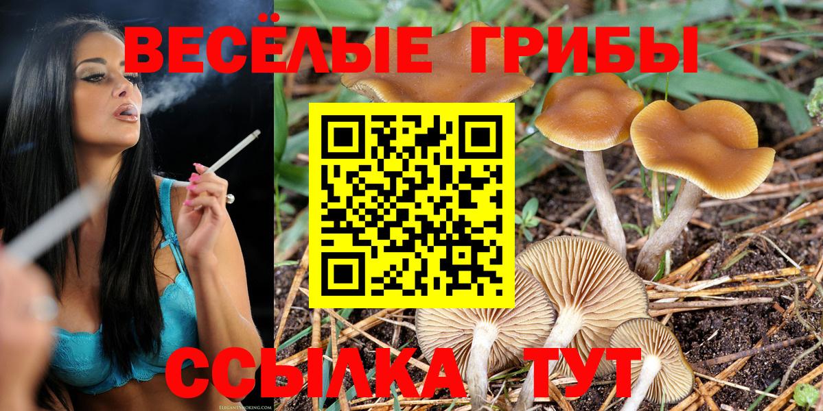 Псилоцибиновые грибы GOLDEN TEACHER Чусовой
