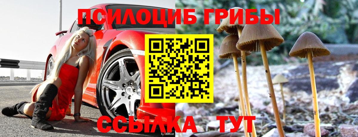 Чусовой  Псилоцибиновые грибы Cubensis  Вход с VPN 